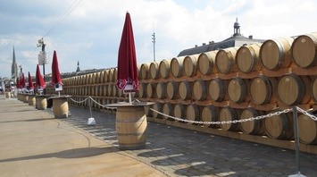 Bordeaux : Une avancée pour vérifier la provenance des chênes utilisés en tonnellerie | Innovations & RSE à Bordeaux et en Gironde | Scoop.it