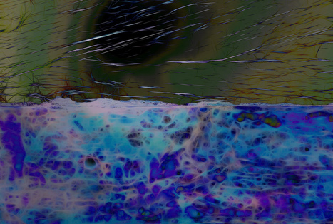 Why the P2P and Commons Movement Must Act Trans-Locally and Trans-Nationally - Commons Strategies | Peer2Politics | Scoop.it