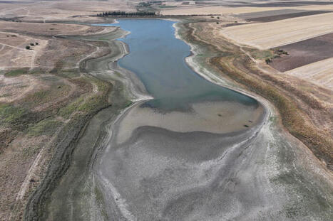 2025, l&rsquo;ann&eacute;e des 120 records de temp&eacute;rature battus dans le monde | Toxique, soyons vigilant ! | Scoop.it