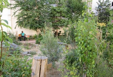 Des arbres fruitiers rassemblent les habitants de La Chapelle, à Paris | Economie Responsable et Consommation Collaborative | Scoop.it