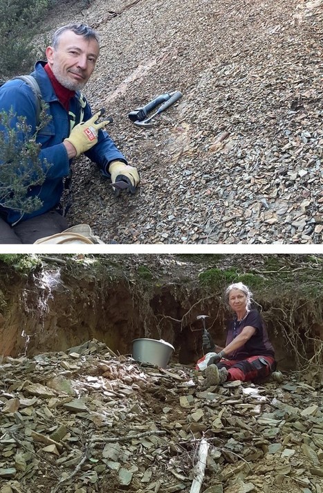 Nouveau site fossilifère dans le sud de la France : « Nous sommes dans la prospection et la recherche de fossiles depuis l’âge de vingt ans » | EntomoScience | Scoop.it