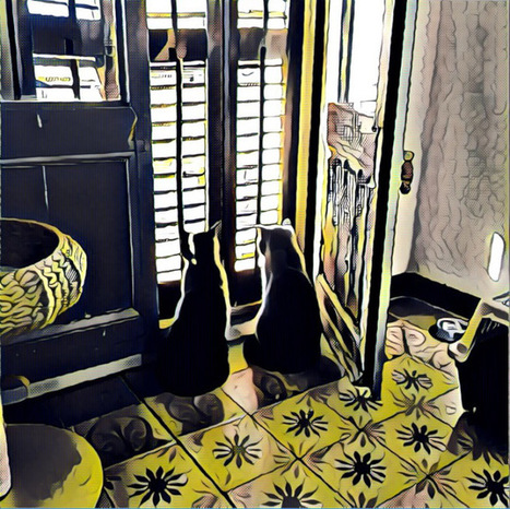 Prisma uses AI to turn your photos into graphic novel fodder double quick | Public Relations & Social Marketing Insight | Scoop.it