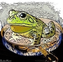 Leadership And The Boiling Frog Experiment - Forbes | Leadership Advice & Tips | Scoop.it