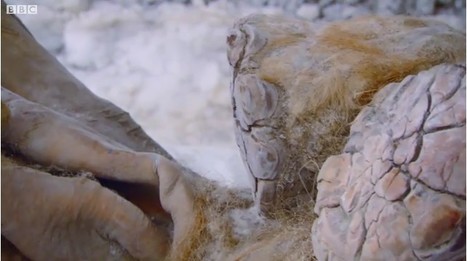 Mammoth carcass found in Siberia | 21st Century Innovative Technologies and Developments as also discoveries, curiosity ( insolite)... | Scoop.it