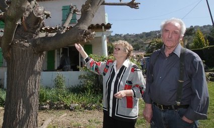 Affaire Picasso: l'électricien de Mouans-Sartoux se rebiffe | Nice-Matin | La revue de presse & web du SNA | Scoop.it