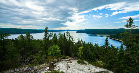 Pourquoi prendre le virage vert et comment passer à l’action au Québec ?  | COOPERATIONS INTERNATIONALES FRANCOPHONES POUR LA TRANSITION ECOLOGIQUE | Scoop.it