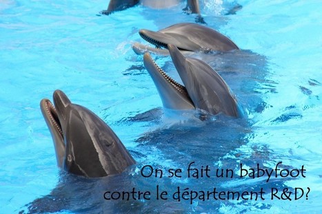 Le plaisir/bonheur au travail, c’est bien autre chose que multiplier les récrés! | Formations pour Cadres | Scoop.it
