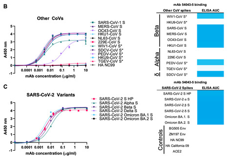 Discovery and Characterization of a Pan-Betacoronavirus S2-Binding Antibody - bioRxiv | Virus World | Scoop.it