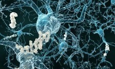 Study Sheds Light Into Alzheimer's Disease Pathogenesis | Bioscience News - GEG Tech top picks | Scoop.it