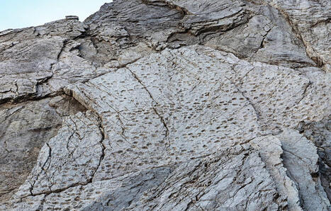 Italie&nbsp;: Un &laquo;&nbsp;immense&nbsp;&raquo; champ d&rsquo;empreintes de dinosaures d&eacute;couvert pr&egrave;s du site des JO d&rsquo;hiver | @ZeHub | Scoop.it