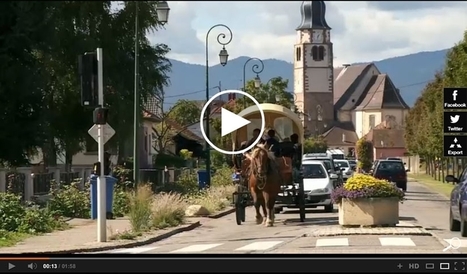 Documentaire : « Qu’est-ce qu’on attend ? » | Regards croisés sur la transition écologique | Scoop.it