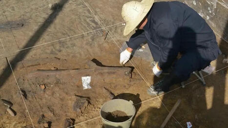 🛠️ Ces outils vieux de 361 000 ans révèlent une technologie inconnue | Kunming-Yunnan | Scoop.it