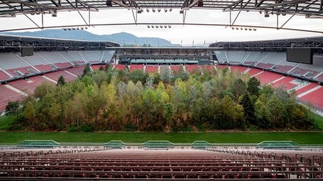 Este artista ha plantado un bosque en medio de un campo de fútbol de Austria | Educación, TIC y ecología | Scoop.it