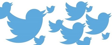 Cómo usar dos cuentas de Twitter desde la misma ventana del navegador  | TIC & Educación | Scoop.it