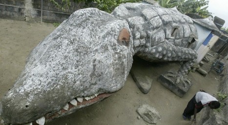 Vos proverbes africains pr&eacute;f&eacute;r&eacute;s | FLE C&Ocirc;T&Eacute; COURS | Scoop.it