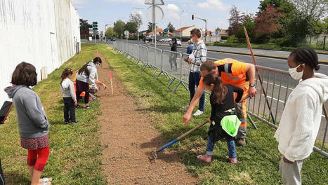 Cholet. À Jean-Monnet, ce sera la Belle Cité tout l’été | L'actualité des quartiers politique de la ville de Bretagne et Pays de la Loire | Scoop.it