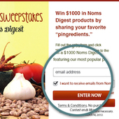 Webinar Registration] Pinterest Promotions Perfecte  Started by Brendan Lowry, Marketing & Product at Curalate | Best Pinterest Techniques | Scoop.it