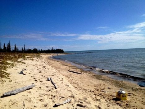 Tlicho community gathers at Whitebeach Point for cultural celebration | CBC News | Indigenous Stories and Education | Scoop.it