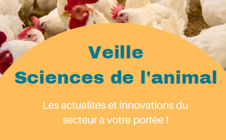 Pour vous abonner aux bulletins de veille ! | SCIENCES DE L' ANIMAL | Scoop.it