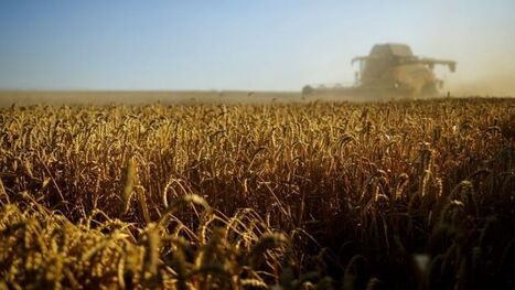 La fili&egrave;re brassicole fran&ccedil;aise, championne du monde | Revue de presse &eacute;conomique du Sud Touraine | Scoop.it