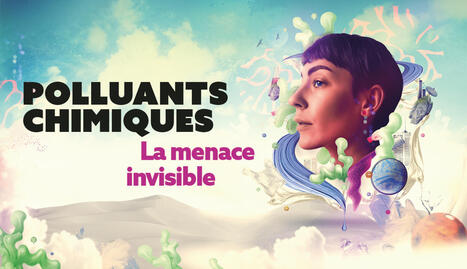 Polluants chimiques, la menace invisible | Inserm Magazine | Prévention du risque chimique | Scoop.it