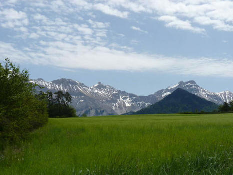 Paysage et biodiversité, des clés de réussite pour la transition écologique | TRANSITION AGROECOLOGIQUE : PRATIQUES ET POLITIQUES AGRICOLES | Scoop.it