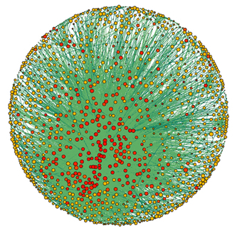 Decoding the organizing principles of economy | Complex Insight  - Understanding our world | Scoop.it