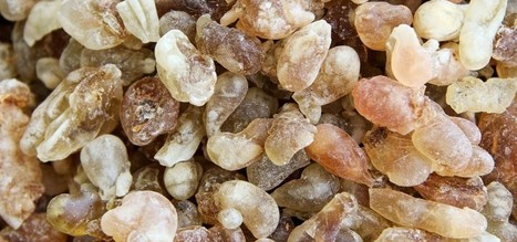 10 utilisations de l’huile essentielle d’encens | Aromathologie | Scoop.it