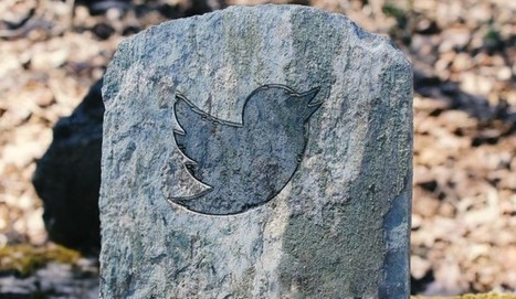 Why You Should Embrace Twitter’s New Timeline by Shay Meinecke | iGeneration - 21st Century Education (Pedagogy & Digital Innovation) | Scoop.it
