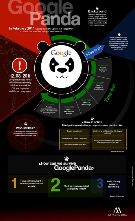 Google Panda Algorithm Update [Infographic] | Google Penalty World | Scoop.it