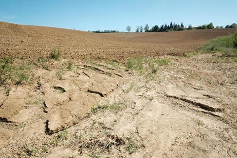 [La Vie] Sécheresses, inondations : face au changement climatique, l’Europe teste la « zone éponge » | Les laboratoires du CNRS Occitanie Ouest dans la presse | Scoop.it