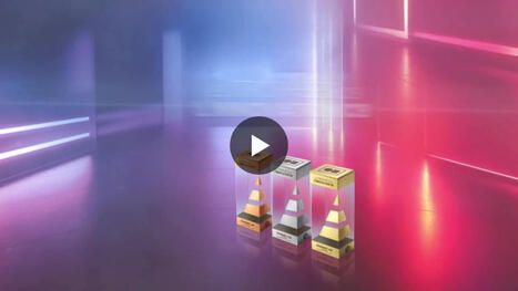 Tricerasport en quelques mots | 7 - Fan Experience | Scoop.it