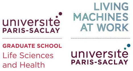 Lancement de l'AAP 2026 conjoint GS LSH et OI LM@W | Life Sciences Universit&eacute; Paris-Saclay | Scoop.it