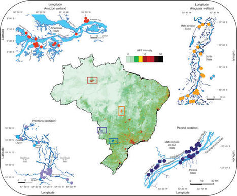 Human pressure drives biodiversity–multifunctionality relationships in large Neotropical wetlands - Nature Ecology & Evolution | Biodiversité | Scoop.it