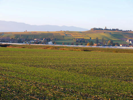 ZAN, contre-enquête De l’impasse légaliste de l’arithmétique foncière à l’ambition régulatrice de la gouvernance des sols / Jean-Marc Offner - Revue Urbanisme. Août 2022 | IATU - Aménagement du territoire - Urbanisme - Paysage | Scoop.it