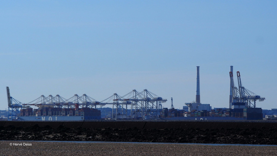 S&eacute;nat: une proposition de loi sur la gouvernance portuaire | Une semaine d'actu - Newsletter de veille de l'AURH | Scoop.it