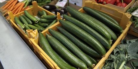 Bruxelles alerte sur des concombres contaminés venant d'Espagne | LeMonde.fr | Toxique, soyons vigilant ! | Scoop.it