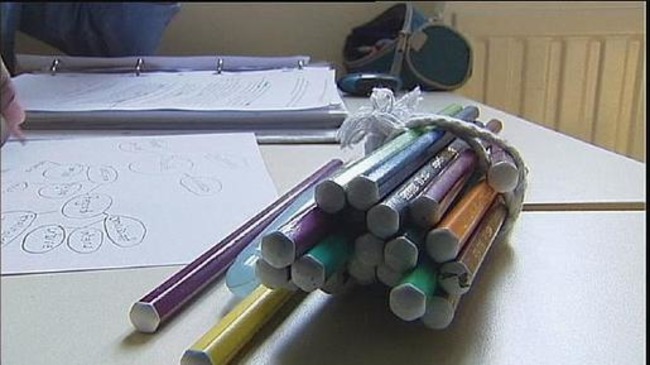 La neurop&eacute;dagogie&nbsp;: la gym du cerveau pour apprendre plus facilement | euronews, science | POURQUOI PAS... EN FRAN&Ccedil;AIS ? | Scoop.it