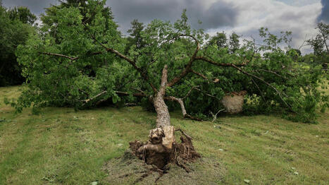 Orages : toitures envolées, énormes grêlons, coupures d'électricité... de nouveaux dégâts enregistrés dimanche | Planète DDurable | Scoop.it