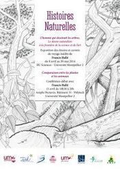 Conférence-débat avec Francis Hallé "Comparaison entre les plantes et les animaux" - Université Montpellier 2 | Variétés entomologiques | Scoop.it