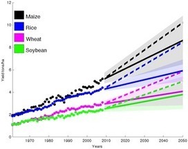 Yield Trends Are Insufficient to Double Global Crop Production by 2050 | Plant-Microbe Symbiosis | Scoop.it