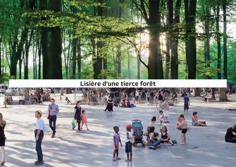Une forêt en ville pour lutter contre l’îlot de chaleur urbain | architecture, urbanisme, environnement, paysage, énergie, territoires... : le fil d'actu de la FNCAUE | Scoop.it