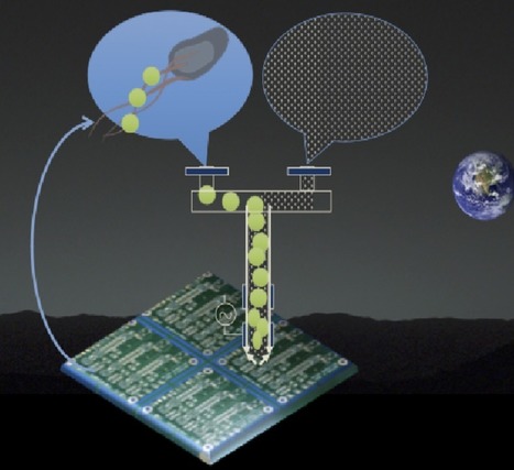 Metal-Munching Microbes Could Manufacture Machines On Mars | Daily Magazine | Scoop.it