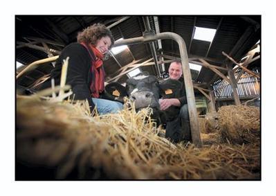 Livre : Paul Goupil donne la parole aux paysans - ouest-france.fr | Agriculture en Pays de la Loire | Scoop.it