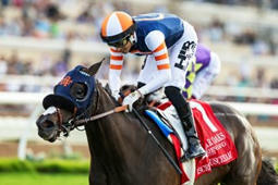 Letters to the Editor: Welcomed Proposals - BloodHorse | Racing News | Scoop.it