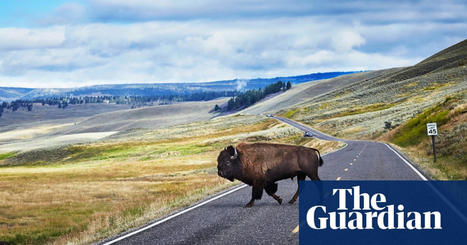 Public lands are Americans’ birthright. It’s our duty to defend them against new landgrabs | Public lands | The Guardian | Agents of Behemoth | Scoop.it