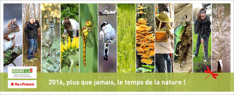 Agriculture urbaine IDF | Les Colocs du jardin | Scoop.it