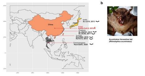 Le Covid-19 circulait-il déjà depuis dix ans en Asie du Sud-Est ? | EntomoScience | Scoop.it
