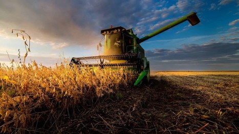 Study Sheds Light on Environmental Impact of Global FOOD Production | CIHEAM Press Review | Scoop.it