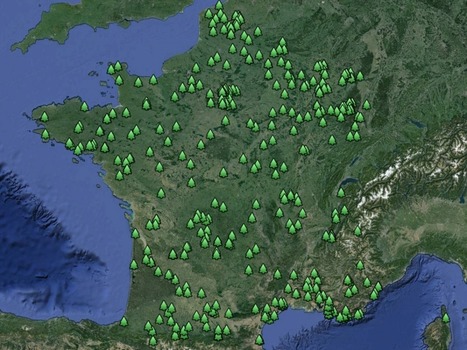Plus d'arbres, plus de vie : 388 opérations de plantation pédagogique enregistrées ! | Variétés entomologiques | Scoop.it